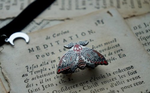 moth enamel pin