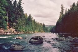 northwezt:  Snoqualmie Falls, WA Olympus om-40 (Kodak Ektar 100)