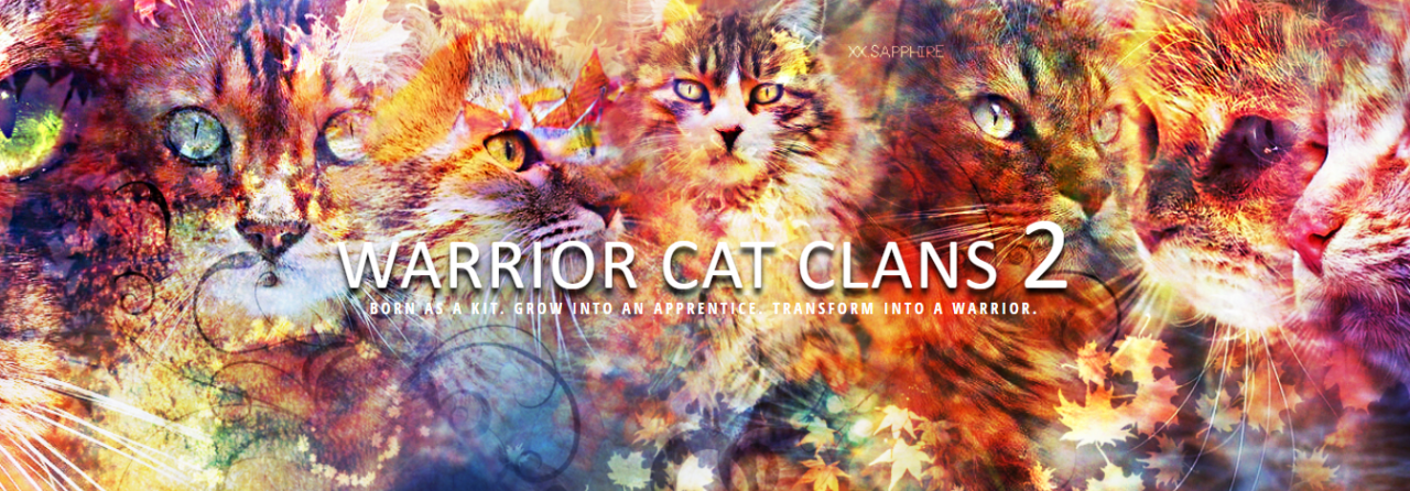 Warrior Cat Clans 2