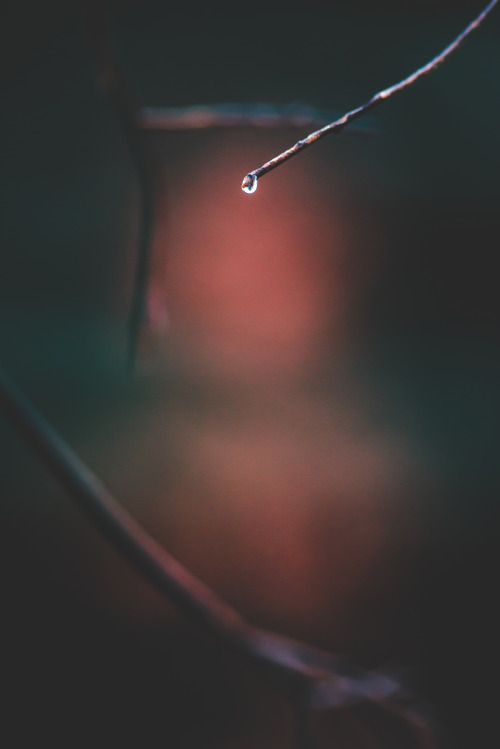 dissonantdays:so why does this still hurt