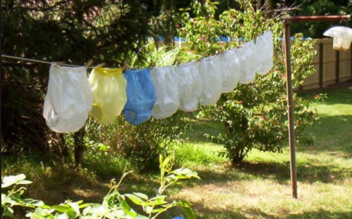 stillinnappies: Wish these were in my garden. “SURE DO WISH I COULD FIND THESE PLASTIC PANTS S