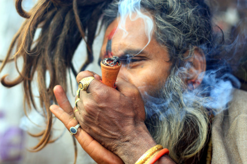 belovedlotus:  meadow—sage:  buddhabrot:  In the ancient myths associated with the gods and Shiva, long before the creation of the universe, the devas or gods, churned a cosmic ocean in order to obtain Amrita (elixir of life) for attaining immortality. It