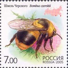 stamp-it-to-me:three 2005 Russian stamps depicting different species of bumblebees