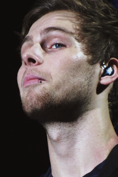 toolucas: bEarD ©