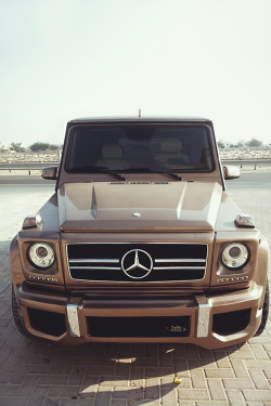 auerr:  Mercedes-Benz G55 AMG 