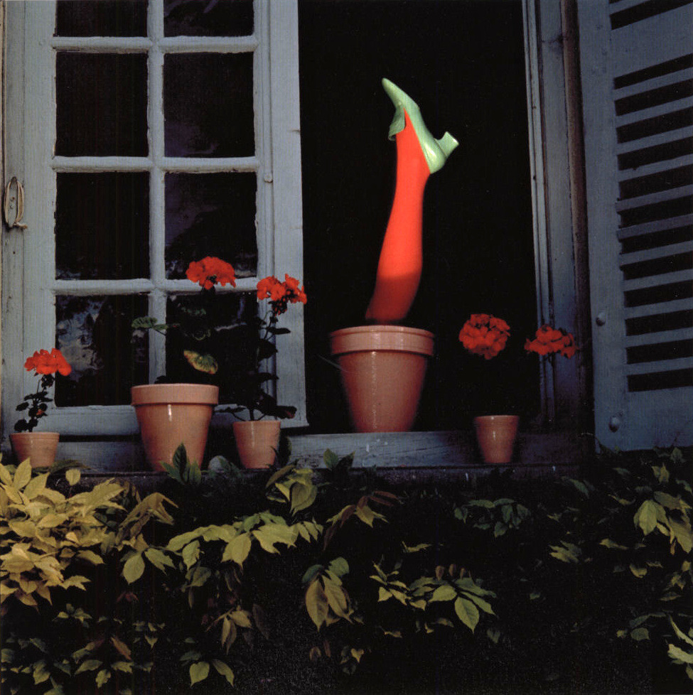 Guy Bourdin