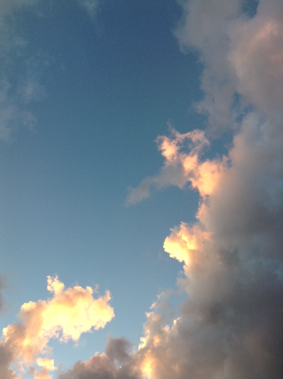 Pretty weekend snaps