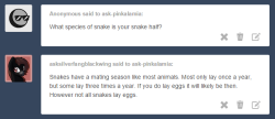 ask-pinkalamia:Fluttershy: Generally for the most part, a female snake lays her eggs after she mates with a male snake.  One exception to this rule is the flowerpot snake which are all female and can reproduce without a male snake. And from what I can