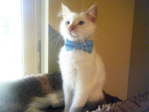 far2frail:  Simon is a heart breaker.  