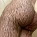 thehairyass: