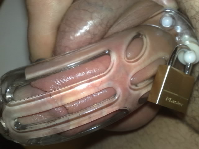 proudofmypiercings:  Me. Into “curve” chastity device thanks to my keyholder