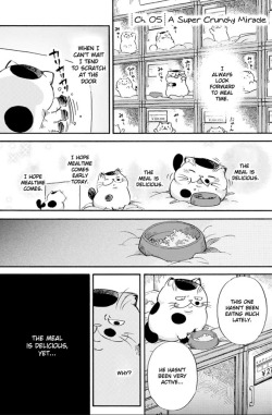 mahou-shougiogio: laurdlannister-kingslayer:  imonlyadumpling:  Ojisama to Neko-Chapter 5   This manga is gonna give me diabetes 💖  this makes me want to hug and kiss my cat for hours but my cat scratches and bites lol   @gurlsgogames i must share