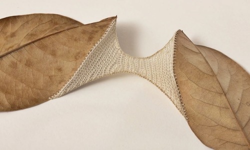 crossconnectmag:Crocheted Leaf Sculptures by Susanna BauerTo truly appreciate the delicacy of Susann