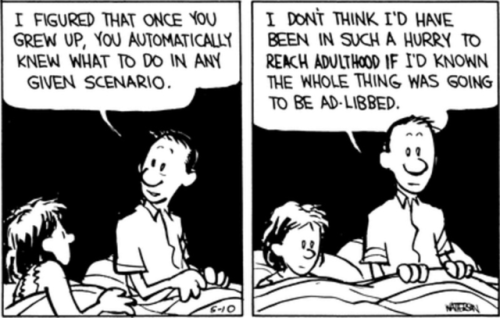 deadlydoodles:  lankybrunettepartdeux:  I never guessed that in my adulthood, I’d be relating to Calvin’s parents as much as I do in this comic. Because damn … Calvin’s dad was so right.  This is part of an arc where their house got broken into