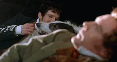 tumblr_pjs762VuPZ1wivxluo5_500.gifv