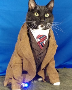 cat-cosplay:“Now, first things first. Be honest. How do I look?” ~ The 10th Doct'purr