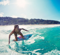 surfing-girls:  Surf GirlSurfing Girls Twitter