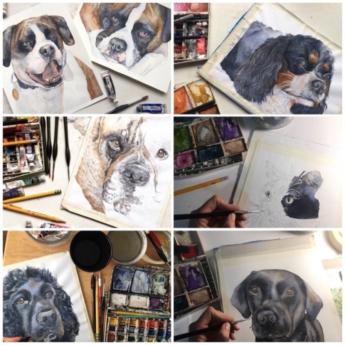 Pet portrait flash sale, now through midnight.2 for $120.https://etsy.me/2OSuCSP