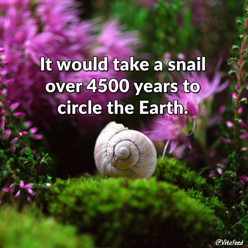 nature facts