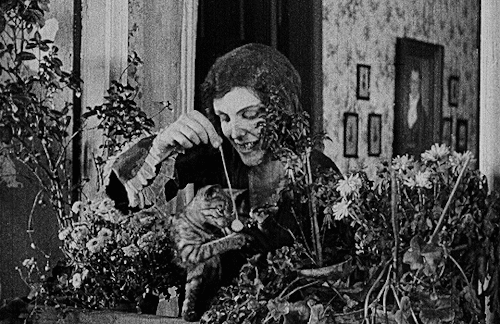 ohaladdins: Nosferatu (1922), dir. F.W. Murnau https://painted-face.com/