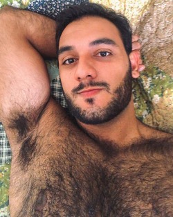 beardedhairyscruffhunks:🔥OUR NEWCOMERS🔥