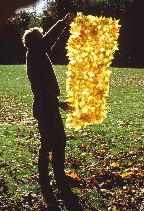 poeticasvisuais: Andy Goldsworthy, progress shots, 1984-1986