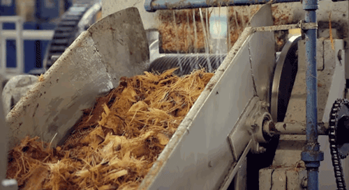 micdotcom:  Watch: Who knew making tequila could be so mesmerizing