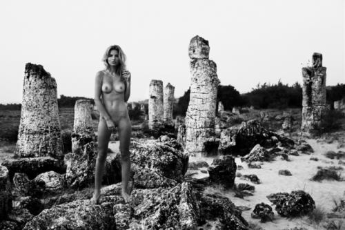 lookonmyworksanddespair:  100 Great Danes By Bjarke Johansen And Simon Rasmussen with Sofie Bording 