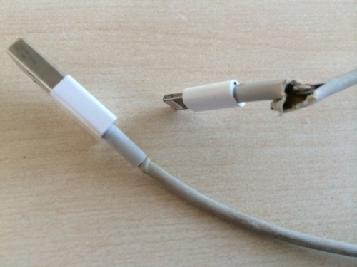 rainbow-space-dragon:  premium-gifs:  chillona:  heyfunniest:  random-and-interesting:  Introducing, Dodocool Lightning Cable.   Dodocool - ű.97 Apple - ร.00 IT’S CHEAPER TOO GUYS  NO MORE BROKEN LIGHTNING CABLE FOR ME YESS  Thank fucking GOD 