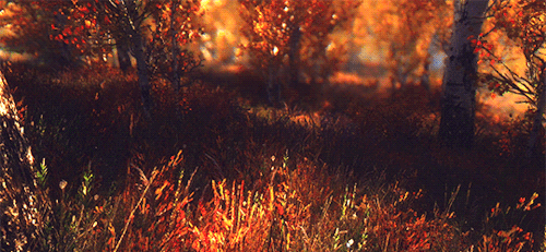 Skyrim.