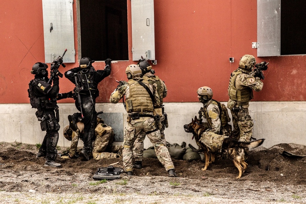 gunrunnerhell:  Joint Ops Members of the Norwegian Army Special Forces, Navy and