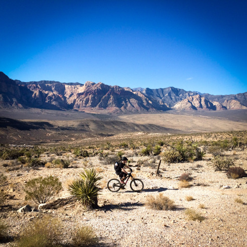 thebikecomesfirst:  It was a shot trip to Las Vegas, but there’s always time to fit in a mountain bi