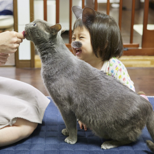 ちゅ〜るの時間