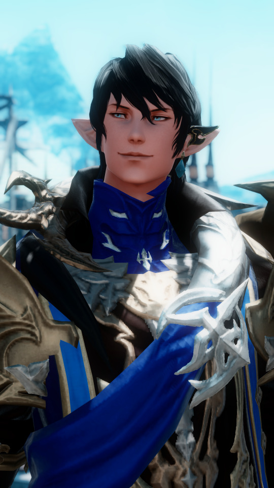 Lord Commander, Ser Aymeric De Borel.