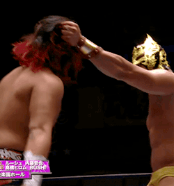 spiteandsparkles:  Hiromu and Lee are back at it again….