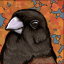 chestnutmunia