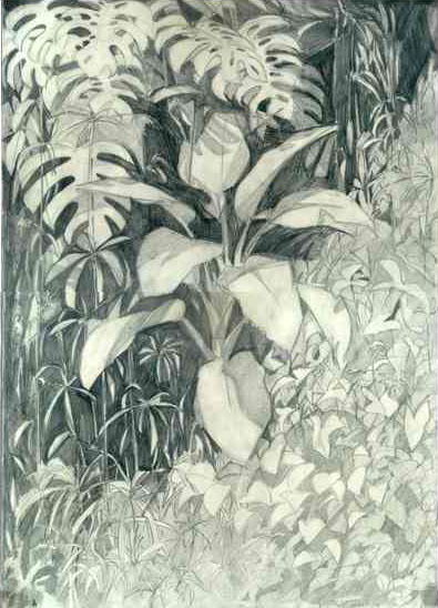 School sketch of imaginary rainforest and training drawing of plaster leaf. Year of 2000. Школьный н