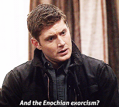 cthulhu-with-a-fez:  ironavengerr:  valiantparadox:  teamfreewillxgraham:  I just
