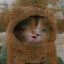 trashcatsblog