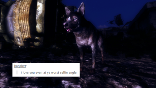 nuclear-reactions: Companions +Text Posts via @fuckyeahtxtposts Fallout 4 companions/ Fallout 3 comp