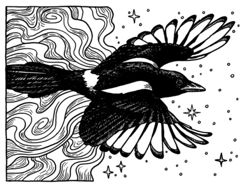 “Celestial Magpie”inkArt by Elisabeth AlbaThis was created as an interior for Llewellyn&