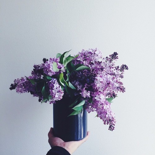 floralls: by  nonihana_