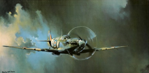 bantarleton: Supermarine Spitfire in Action by Barrie A F Clark.