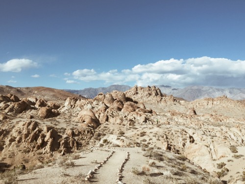 danielodowd:  http://jackipotorke.vsco.co/