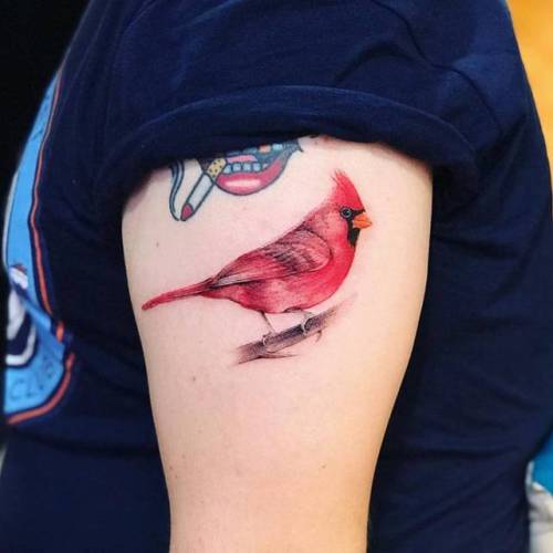Fine line minimalistic cardinal tattoo done in red ink