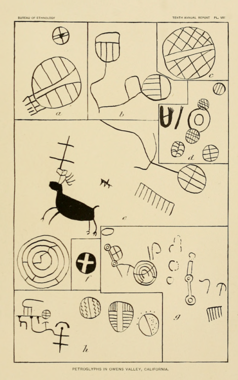 nemfrog:Plate VIII. Petroglyphs in Owens Valley, California. Picture writing of the American Indian.