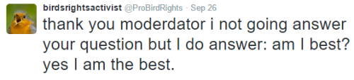 jottingprosaist:This account began as an anti-SJ account and has evolved into a Donald Trump account