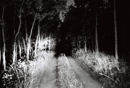 Chilcotin Night Moves*from a roll thought lost