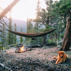 Yessss , I have that hammock I want to go