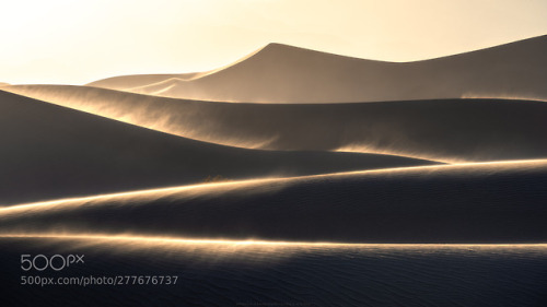 The perfect DUNE by simonroppel